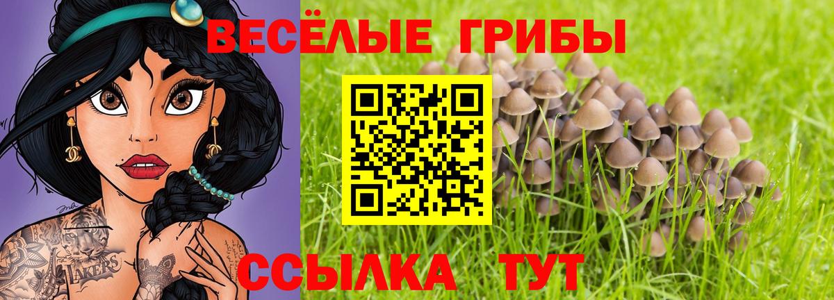 Сатка  Галлюциногенные грибы мухоморы  купить  цена  Вход с VPN 