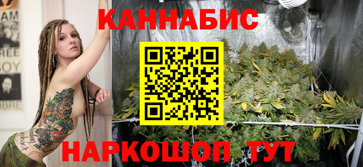 Конопля OG Kush  Вход с VPN  Сатка  Шишки марихуана LSD WEED 